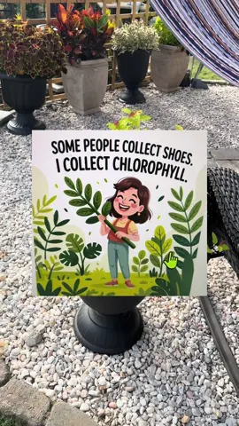 Giving up is not an option #greenthumb 🪴🌹🌺🌸💐