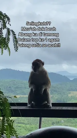 Mnyoe han pateh jeut ta tes😂.         #katakataaceh✨#storyaceh#sounindia#viraltiktok#fypシ゚#kataaceh✨