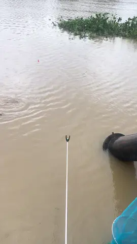 Hàng khủng tự nhiên 😂😂😂 #xuhuongtiktok #caucagiaitri 