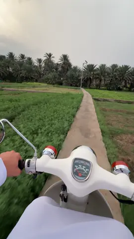 الحمدلله 🌴#alhmra #explore #oman 