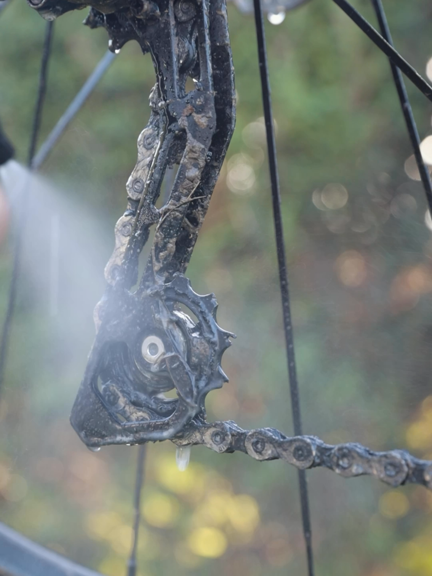 🍊 Weldtite Citrus Degreaser 💫 Weldtite Citrus Degreaser features a biodegradable, water-based formula that’s tough on dirt and grime while remaining kind to your bike and the environment. Simply spray onto the drivetrain, leave for a minute to work its magic, agitate with a brush, and rinse away. Weldtite Citrus Degreaser is non-corrosive, disc brake safe, carbon safe, and gentle on paintwork. #OptimisedByWeldtite #cycling #bikelife #biketech
