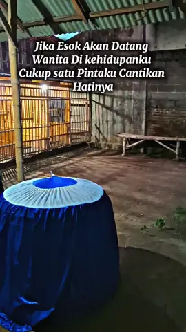 #fyppppppppppppppppppppppp 