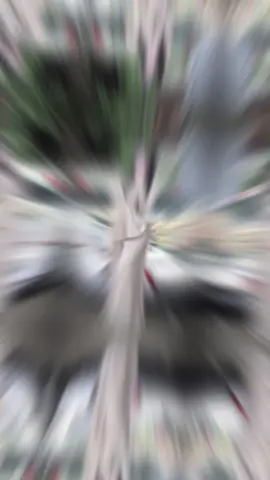 Anh quen ai cũng được, nhưng anh không thể tìm được nhỏ nào chửi anh nhiều như em#hongthicutee #bentre71 