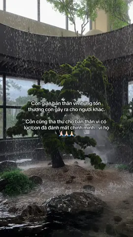 Nam Mô A Di Đà Phật 🙏🏻🙏🏻🙏🏻 #phapphucdichua #phatphapnhiemmau #viral #ngoclan #phatphap 