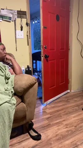 Human,look at me!—This pup’s not taking lgnored for an answer 😂😂#dog #funny #funnydog #dogsoftiktok 