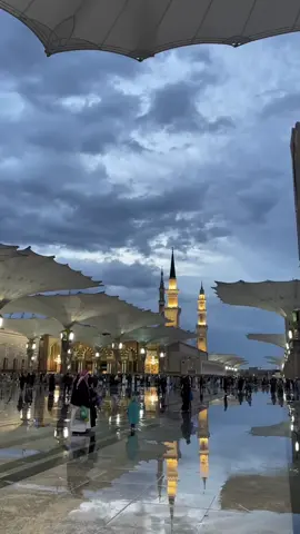 #المدينه_المنوره 