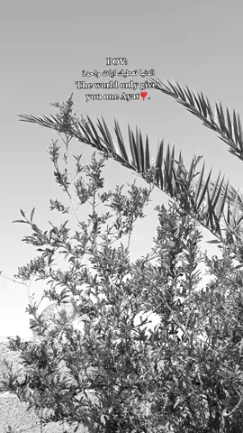 🫶🏻#fyp #foryou #اكسبلور #تصويري #مالي_خلق_احط_هاشتاقات 