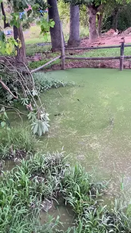 ចង់សអីដេកត្រាំដែរហូវ😁