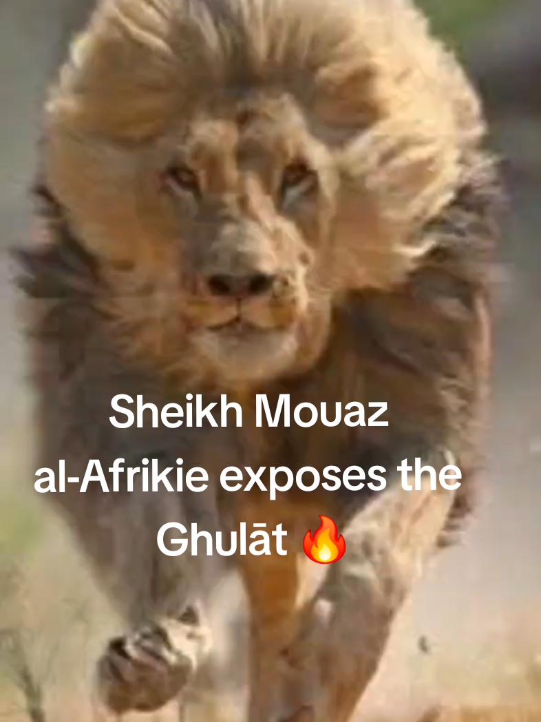 Sheikh Mouaz al-Afrikie exposes the Ghulāt 🔥