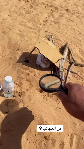 عجائب العدسه 