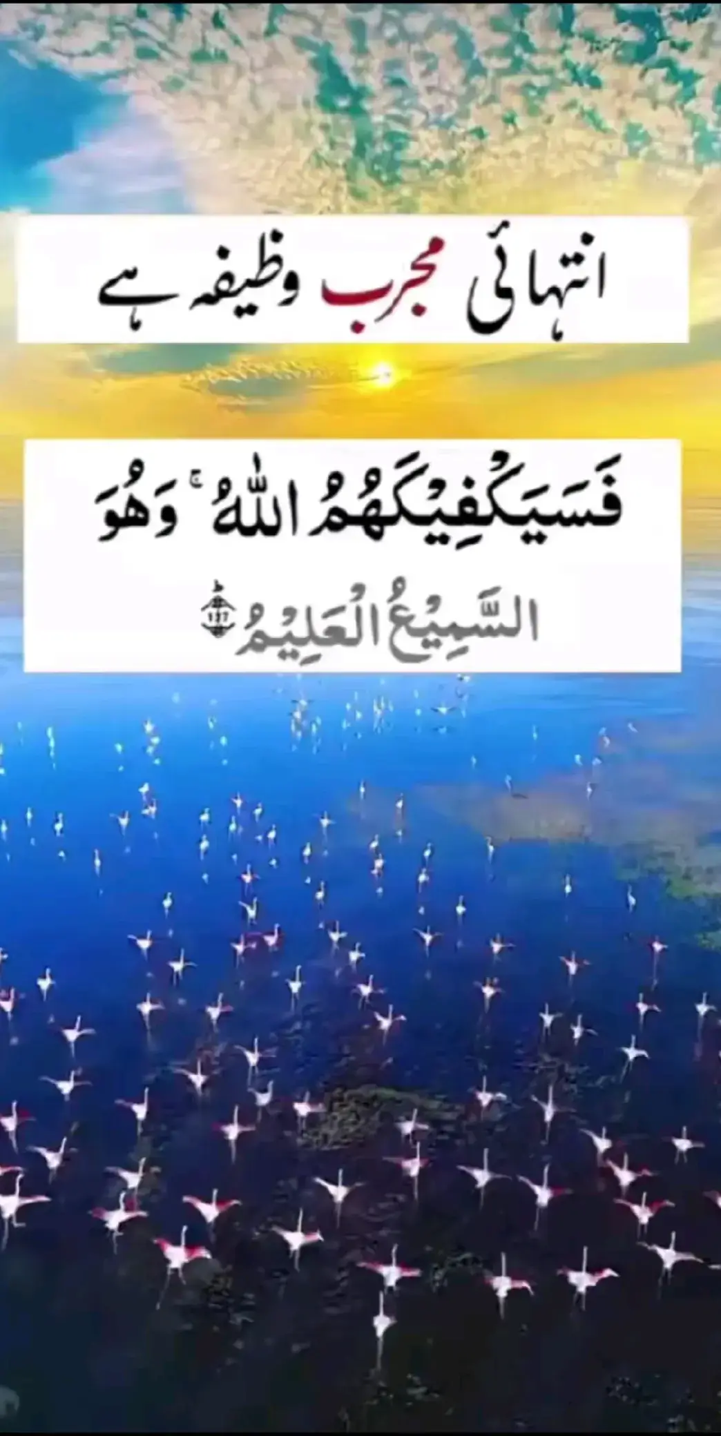 #mlbbcreatorcamp #mft #wazfa #wazaif 