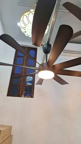 quạt trần 8 cánh nhựa abs #xuhuong #tongkhoquatdenhuongtu 