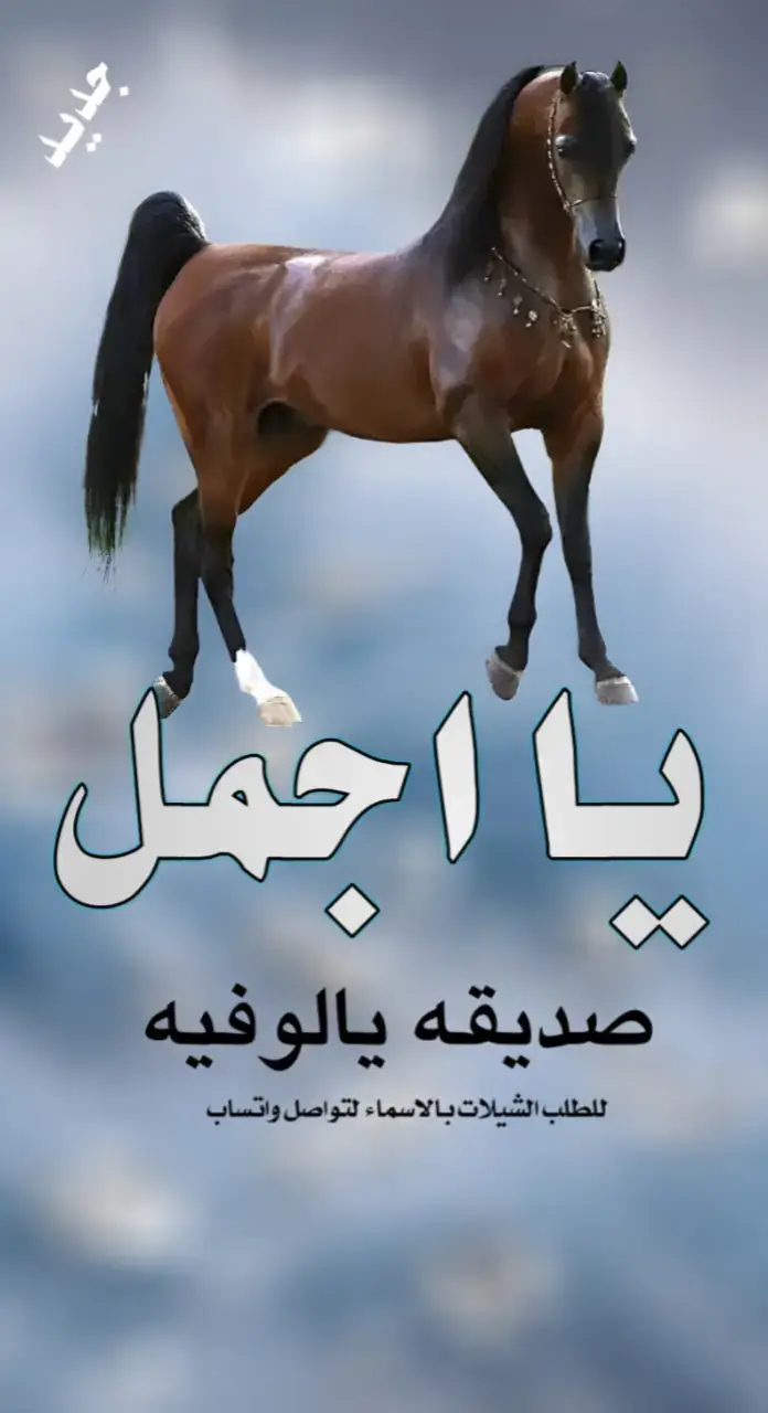 شيلة يا اجمل صديقه #اكسبلور #اكسبلور explore# السعودية 🇸🇦#الشعب _الصني _ماله _ حل😂😂#for you #you 