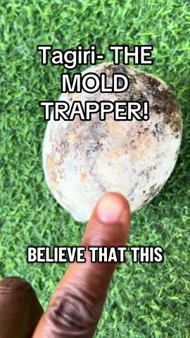 If you have mold in your home. Get this asap! PS: I don’t sell it! It’s called Tagiri in Yoruba #howtogetridofmold 