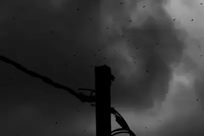 كُلشي راح لحظة غيابك!!.. ... ... ... ... .. #باسم_الكربلائي #قصائد #تصاميم_حسينية #تصاميم_فيديوهات🎵🎤🎬 #fyp 