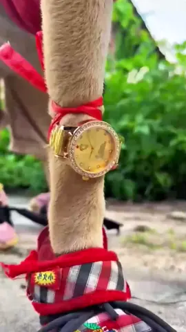 Might regret not watchingFunnyclipsshortFunny moments of mistakes#funny#funnyvideos#foryou#funnyvideo#share#fyp