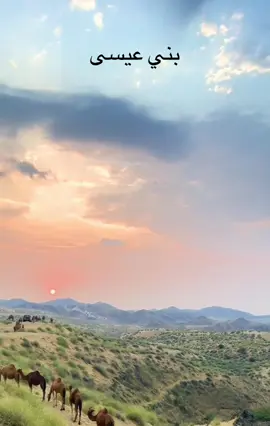 #بني عيسى#القنفذه_الجنوب_اكسبلور_تصويري 