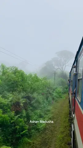 අඹේවෙල කලු පාලම පසුකරමින් පල්ලම් බසින 1006 පොඩි මැණිකේ දුම්රිය 🚂 🛤️ . . . . . . . . . . #ellatrain #s14powerset #podimaniketrain #ambewela #trainride 