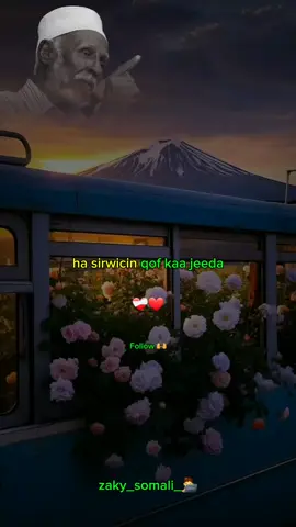 hana sugin qof kaa maarmay-🫶❤️‍🩹🔥-#gabay #dhiirigalin #abwaan #hadraawi #zaky_somali 