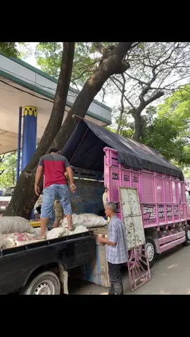 Yang tenang pasti senang🤪 #trukmboisindonesia🇮🇩 #trukoleng #drivermuda #viraltiktok #fyppppppppppppppppppppppp 