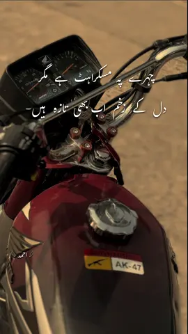 دل کے زخم تازہ ہے 🥹#whyahmii #fyp #poetry 