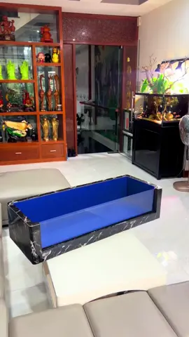 Đẹp ko cả nhà #hoca #thungxopopkinh #changtraicacanh94 #bexopgankinh #thungxop 