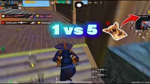 အလောက်ကြီးကျတော့ကွာ😫#myanmartiktok🇲🇲🇲🇲 #tiger #paohtiktok😍😍 #ပအိုဝ်းမလေး #ချစ်တဲ့စိတ်လေးနဲ့ကြည့်ပေးပါနော်😘😘😘😘 @PUBG MOBILE @PUBG Mobile Thailand @PUBG Mobile Myanmar 