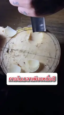 คนจนอยากกลายเป็นคนรวยง่ายๆ#หนังสือเงินสร้างเงิน #ขายดี #หนังสือ #หนังสือธุรกิจ 