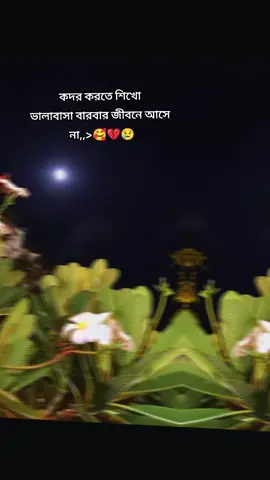 #প্রকৃতি🥰সৌন্দর্য #ভালোবাসা #মালদ্বীপ🇲🇻🇲🇻প্রবাসী #tiktok #foryou 