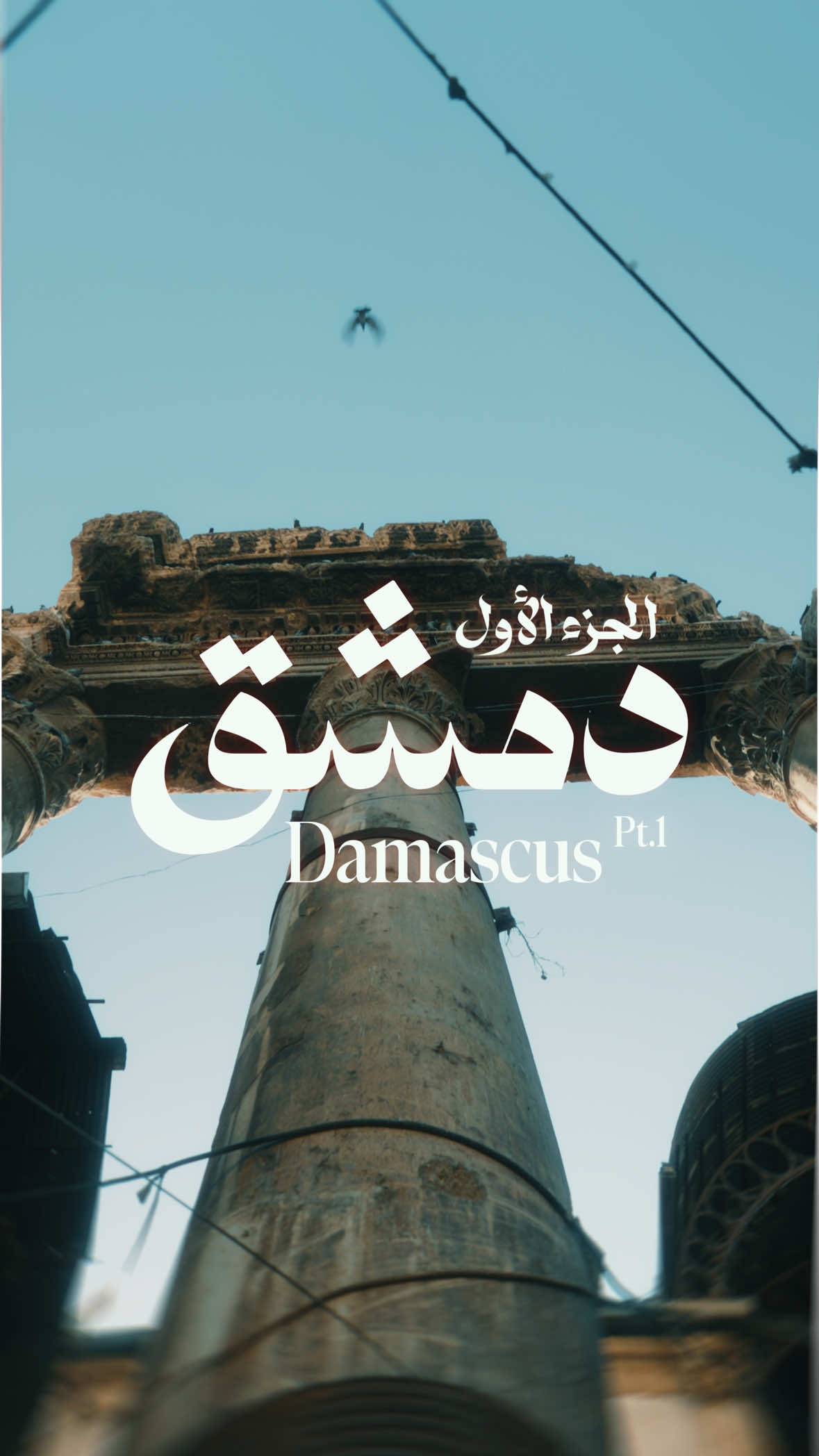 دمشق هي عاصمة سوريا وأقدم عاصمة مأهولة في العالم بشكل مستمر، إذ يعود تاريخها إلى أكثر من 11 ألف عام. تقع في الجنوب الغربي من البلاد، عند سفوح جبل قاسيون، وتُعرف بلقب “عروس الشرق” لما تمتاز به من تاريخ عريق وتراث حضاري وثقافي غني. كانت دمشق مركزًا مهمًا للعديد من الحضارات مثل الآرامية، اليونانية، الرومانية، البيزنطية، الإسلامية الأموية، والعباسية. أبرز معالم دمشق وآثارها 🕌 الجامع الأموي: أحد أعظم وأقدم المساجد في العالم، بُني في العصر الأموي في القرن الثامن الميلادي. يشتهر بزخارفه الفسيفسائية وقبابه المهيبة، ويُعد مركزًا دينيًا وتاريخيًا هامًا. 🏰 المدينة القديمة في دمشق: محاطة بسور تاريخي وأبواب أثرية مثل باب شرقي، باب توما، وباب الجابية. تضم أزقة ضيقة وبيوتًا دمشقية تقليدية بباحاتها الداخلية ونوافيرها الجميلة. 🏛️ قصر العظم: تحفة معمارية من العصر العثماني، كان مقر إقامة الوالي العثماني أسعد باشا العظم، ويُعد نموذجًا مميزًا للبيت الدمشقي التقليدي شوفوا ڤلوغ اللاذقية وادلب وحمص ودرعا ودمشق 😍 ‎الصراحة رحلتي الى دمشق كانت امنة جداً والأمن العام بارك الله فيهم منتشرين بشكل يعكس حرصهم على تأمين الشوارع والاماكن السياحية قدر المستطاع ونتمنى أنهم دائماً في مرحلة تطوير الأمن في سوريا دمشق عاصمة التاريخ ‎لا تنسوا المتابعة! ‎المحتوى هون ما رح تلاقوه في مكان ثاني  ‎ابداً ‎مع محبتي ‎عبد الرحمن القادري ❤️ ‎رئيس حلف الكانكا 💚 #دمشق #سوريا #سفر #سياحة #الجامع_الاموي 