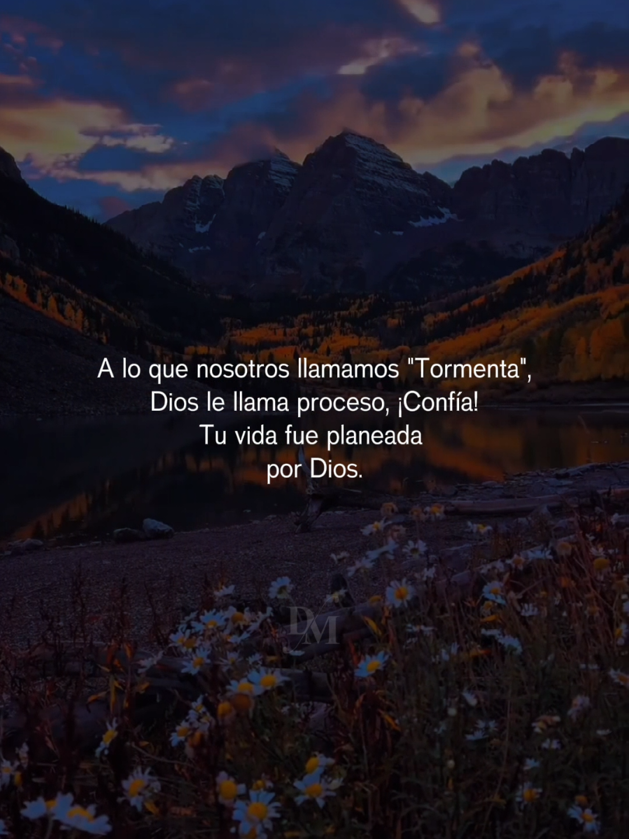 Tu vida ya esta planeada x Dios. 