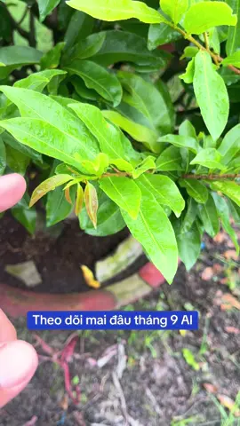 Xem vui không làm theo nha 