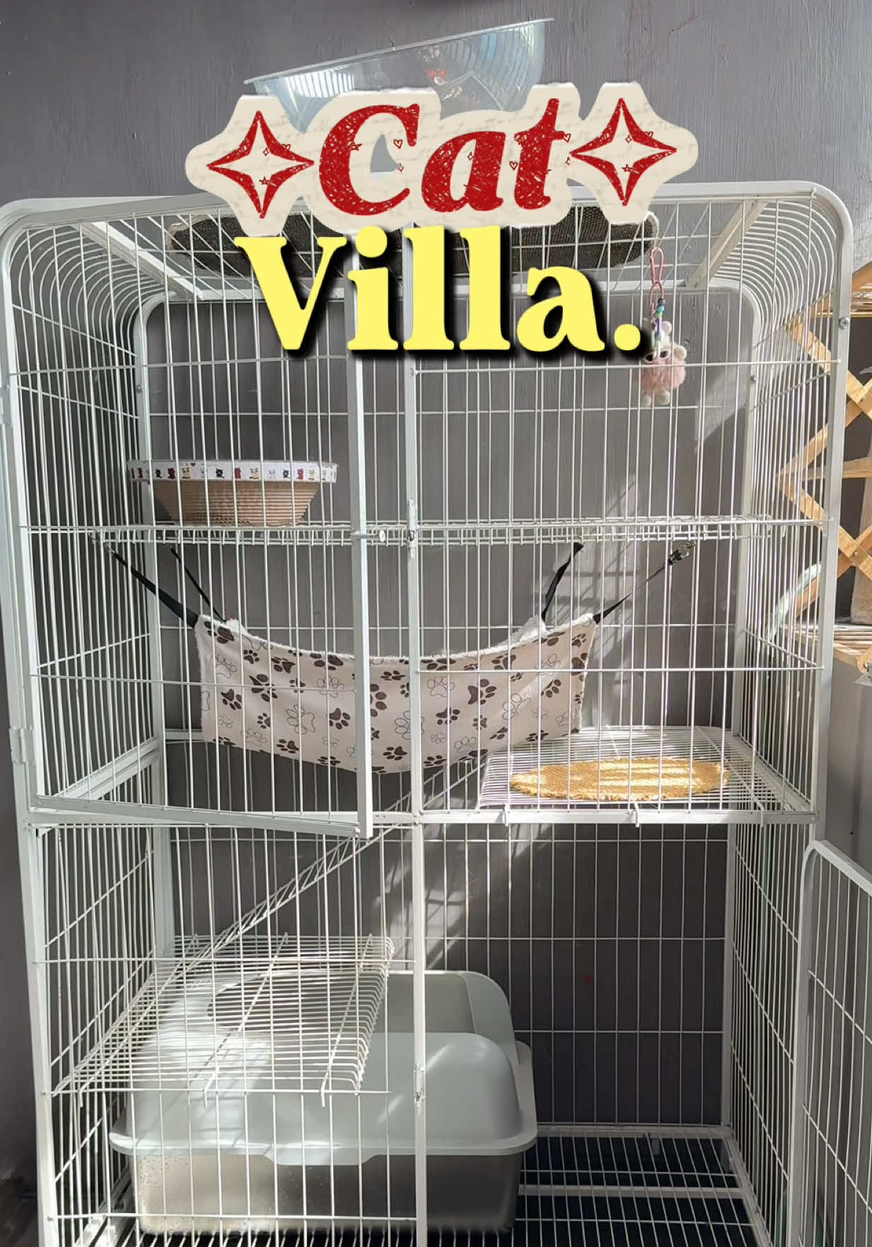 Biggest cat cage for big cats 🥰 #catcage #cage 