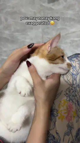 kailangan tinatakot pa eh HAHAHAHAHAHA #trexy #dogsofttiktok #catsoftiktok #fyp #puspin