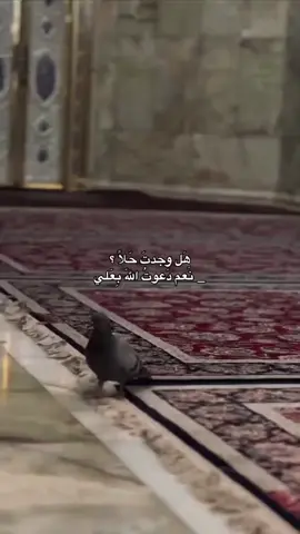 نعم دعوت الله بعلي 🦋✨️#كربلاء #تصميم_فيديوهات🎶🎤🎬 #الكاظمية #الامام_علي_بن_أبي_طالب_؏💙🔥 #مشاهير_تيك_توك