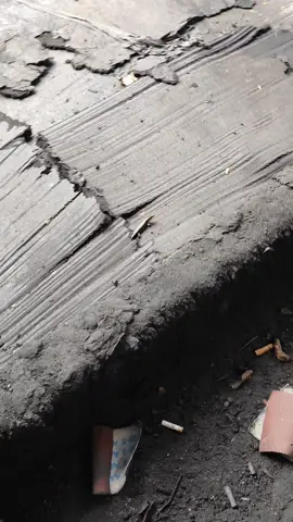 tui đang làm mà ông nhỉ này cứ nằm kế bên nghiêng đầu ngó 🤣 #viral #fyp #rắnmối #kenmuoiot 