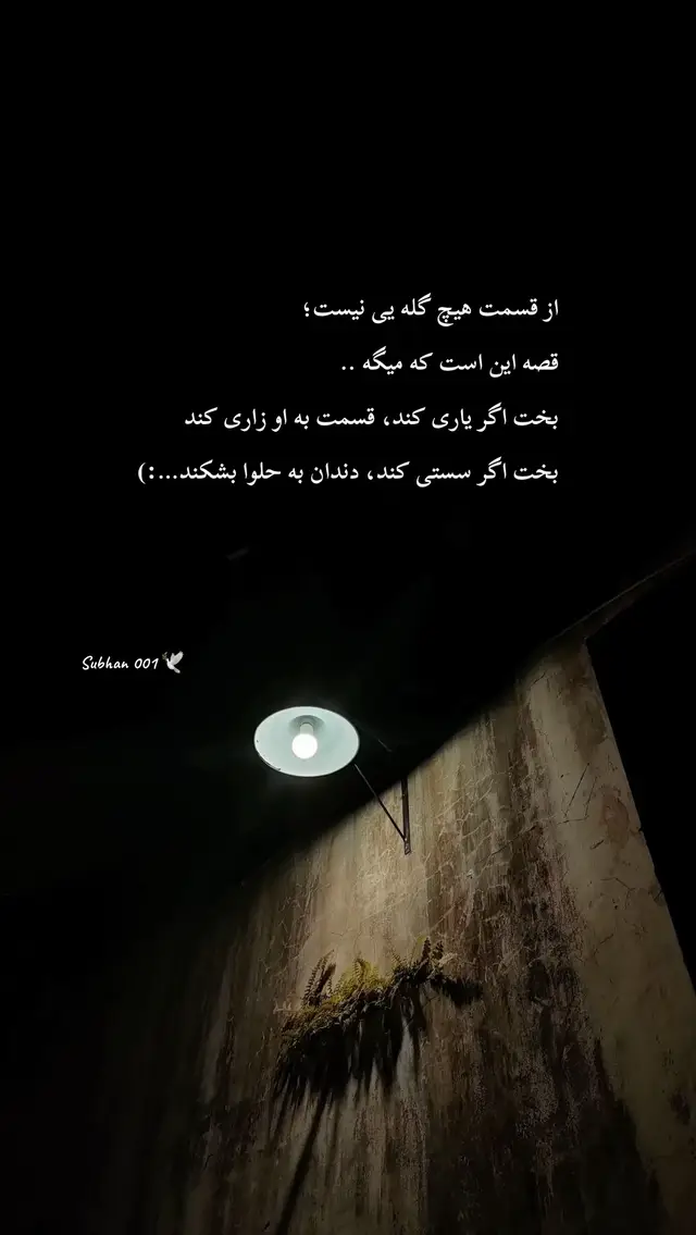 #دلنوشته_های_من🌱🕊️ #subhan001🕊️                                     #سخن #دل #غمگین 