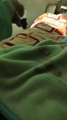 Me dejaste sola, pero gracias a eso he descubierto mi fuerza y la capacidad de darle a nuestro hijo todo lo que necesita y más. 👼 #yano #yanoaguantomas #paz #bebe 