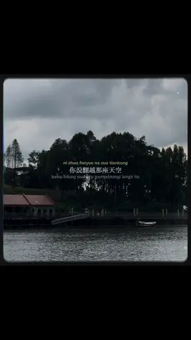 Blooming clouds ☁️✨#会开花的云 #姚晓棠 #bloomingclouds #translatesong #pinyinlyrics 