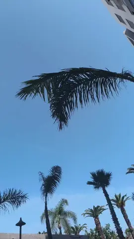 #agadir#tamazight#fypシ゚vital🖤video_tiktok💞💕#تمازيغت#تنالت 