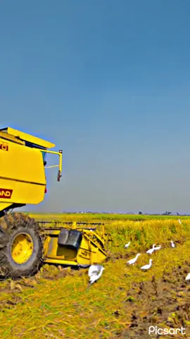 ❤️🔥#پنڈاں_والے #زاہدگجر❤️ 