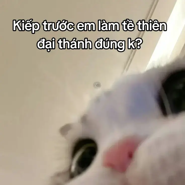 hehe #videoviral #tinhyeu #dark #xuhuong #thathinh 