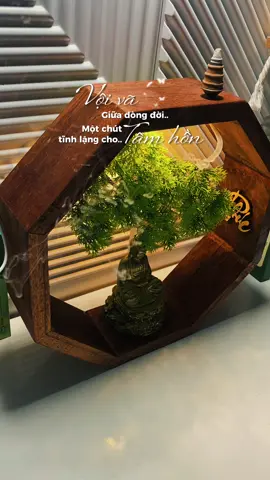Đẹp mê chưa tới trăm cá. Quá xứng đáng nè #tieucanhxongtram #tieucanhxongtramdecor 