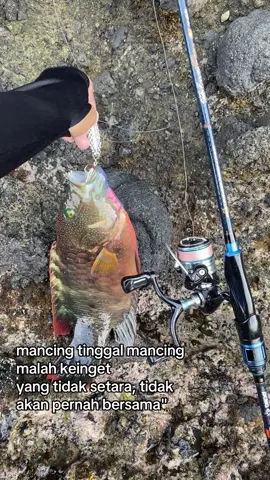 😌#castingfishing🎣 #mancing #daidobluefin #relixnusantara 
