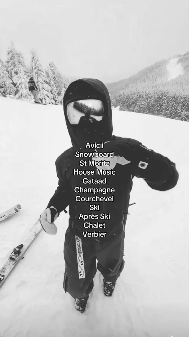 Next Season 🍾❄️ #targatedaudience #winter #avicii #housemusic #viral 