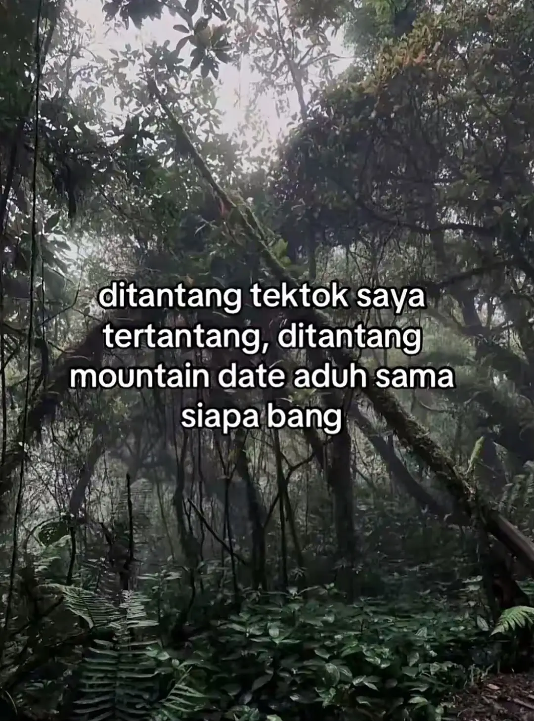 meni ingin mountain date #fyp #mountaindate 