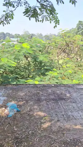 সবাই ভালো হয়ে যাও।#😁😁😁 #viral #foryou #tiktok #mdriponahmed202312.r 