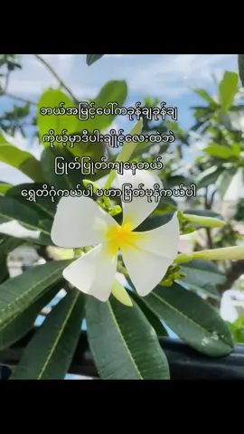 #နိုးကပ်ပရှင် #tiktokuni #viralvideo #foryou 