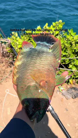 yg penting mancing 🤣🤙🏻🎣 #rockfishing #semetonrockfishing #fishing #mancing #fyp 
