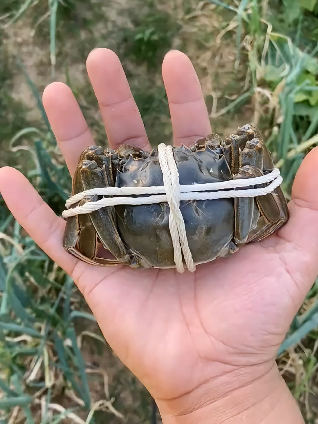 #stonegrill #longervideosontiktok #cook #trending #eatingshow #fyp